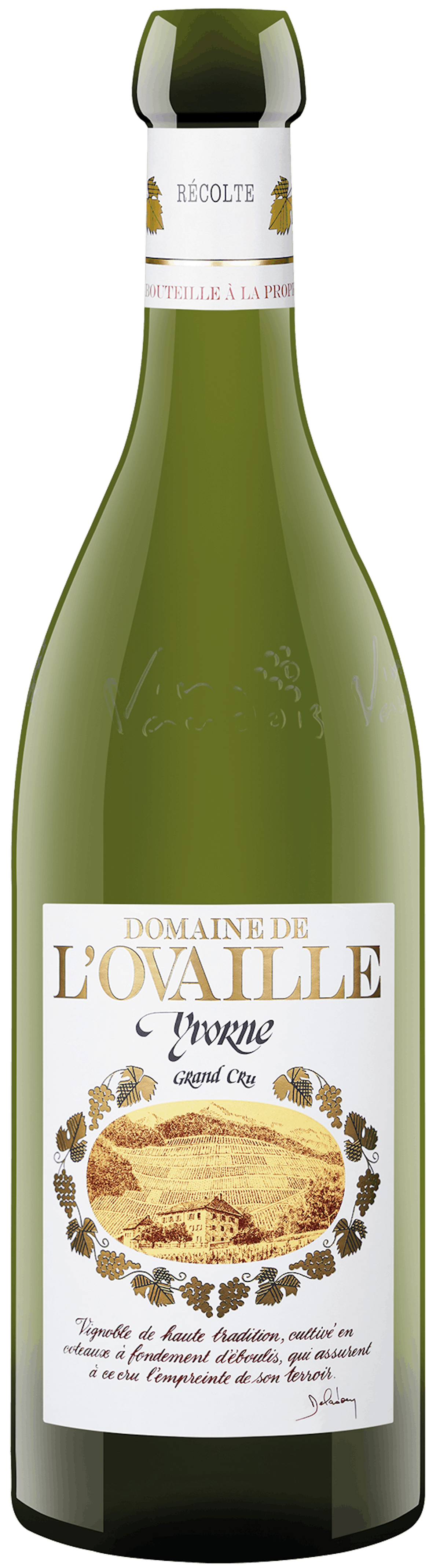 Yvorne Grand Cru - Chablais