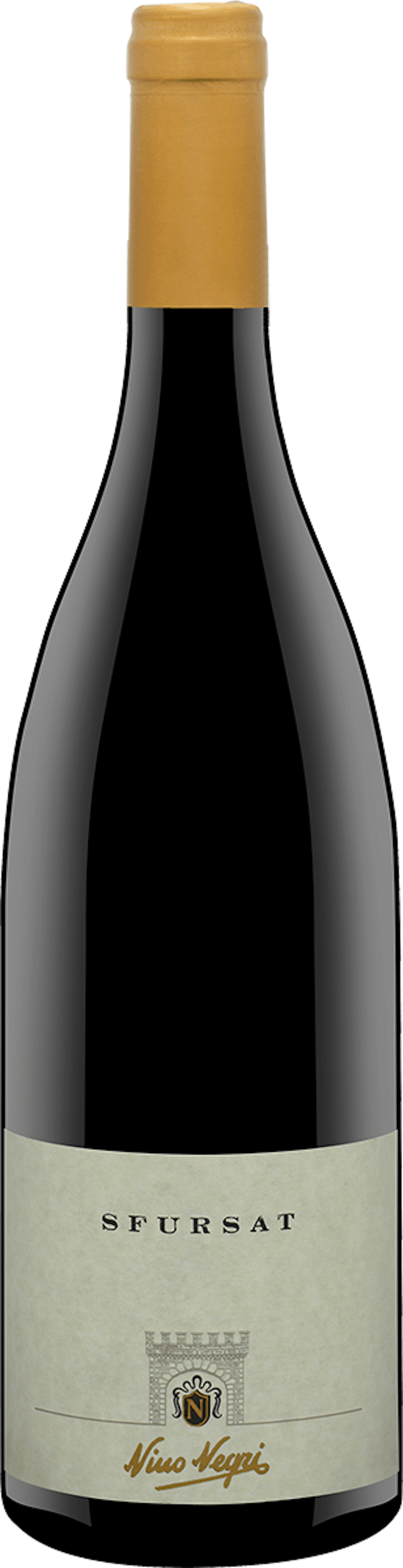 Carlo Negri Sfursat Valtellina