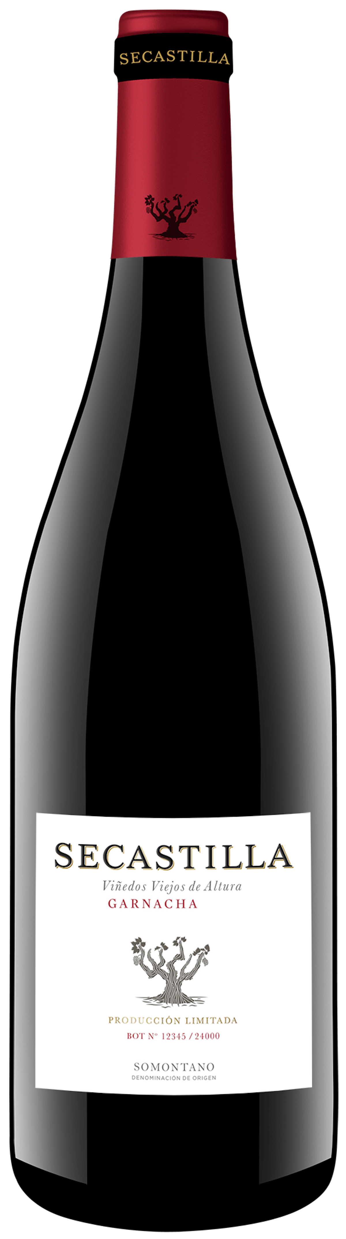 Secastilla Garnacha