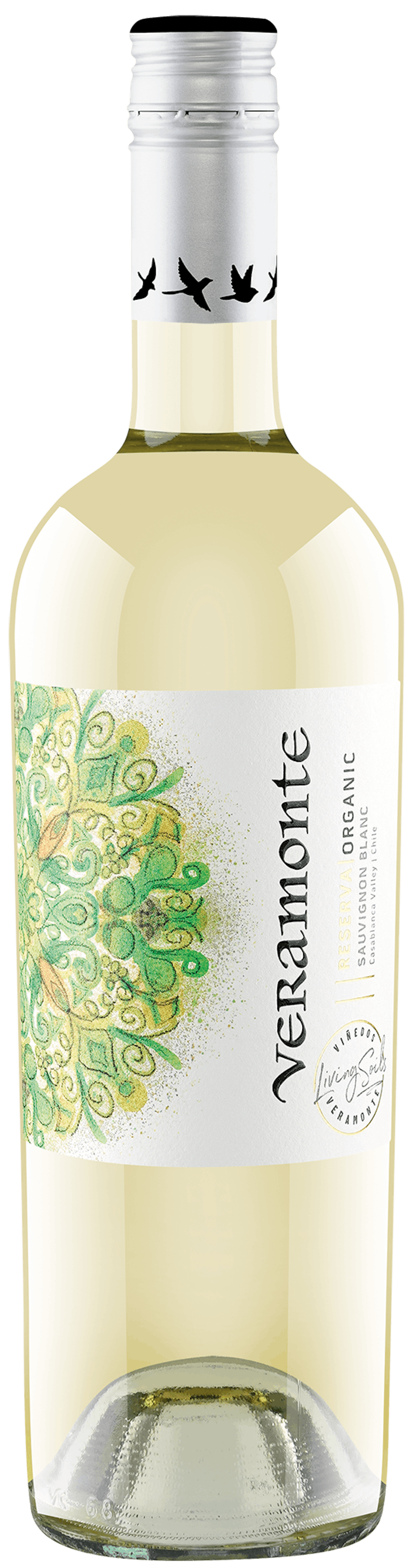 Sauvignon Blanc of Casablanca Valley Reserva